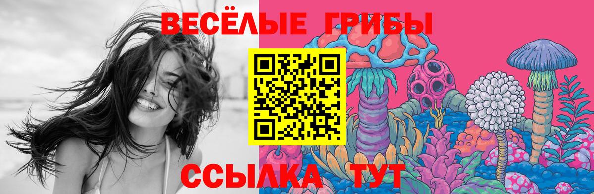 Галлюциногенные грибы Psilocybe  Котовск  Псилоцибиновые грибы MAGIC MUSHROOMS 